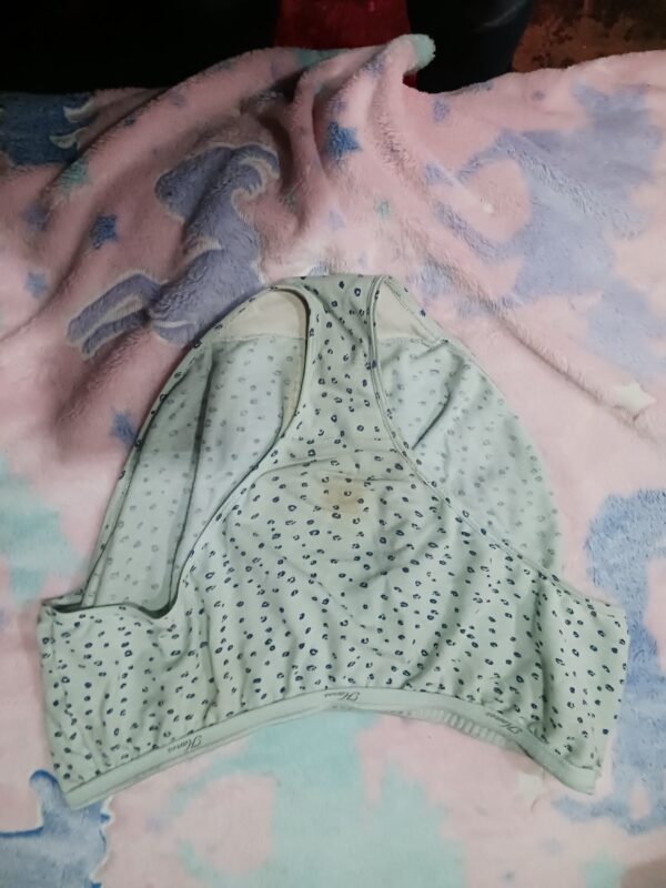 Period panties